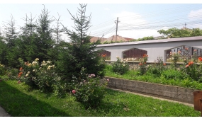 FOTOGRAFII DIN COMUNA